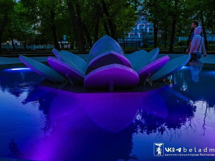 Мэр Белгорода поделился фото подсветки нового фонтана в Центральном парке
