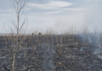 За сутки в Красноярском крае потушили 4 лесных пожара
