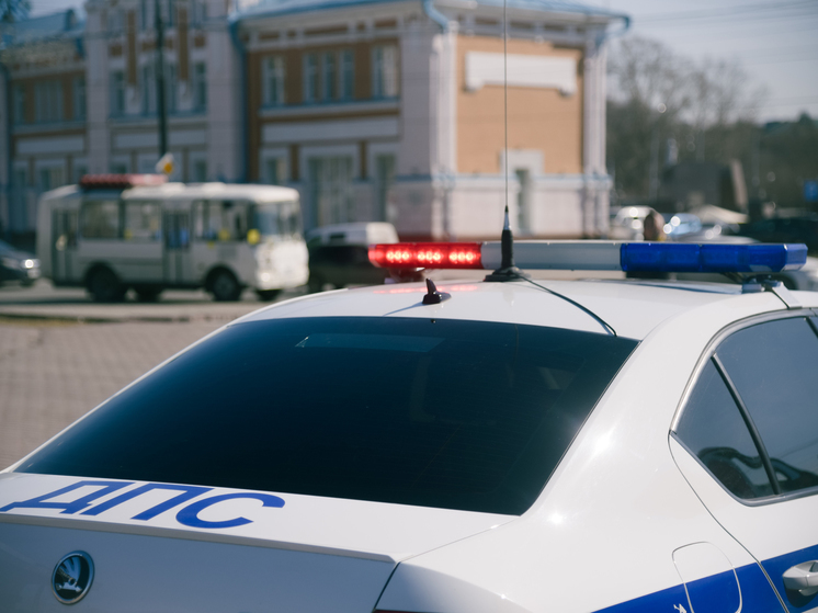 За неделю 67 нетрезвых водителей задержали в Томской области