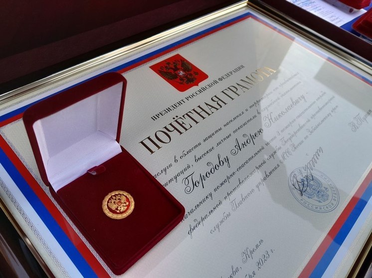 Двух сотрудников МЧС в Забайкалье наградили грамотами президента России