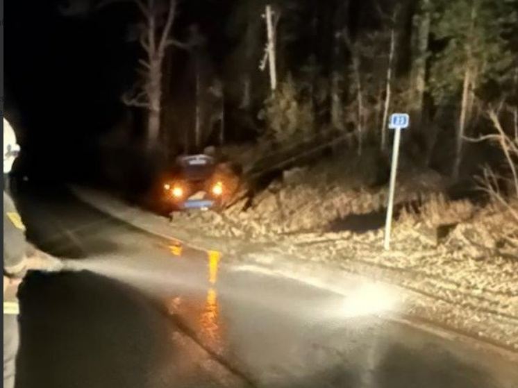 Спасатели пришли на помощь водителю, вылетевшему с дороги под Петрозаводском
