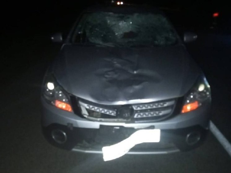 В Воронежской области на трассе 38-летняя автоледи сбила насмерть пешехода