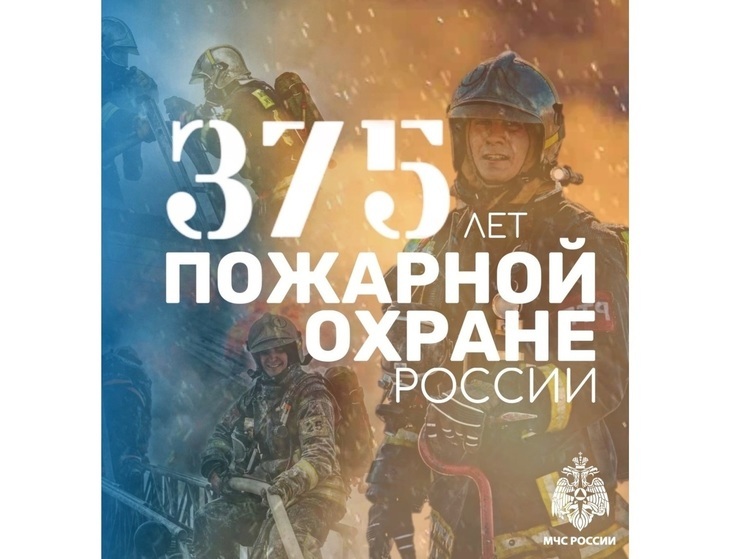 Профессиональный праздник спасатели отметили на 4 пожарах в Воронежской области