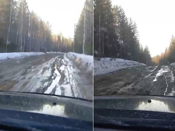 Жители поселка Карелии пожаловались в Следком России на плохую дорогу
