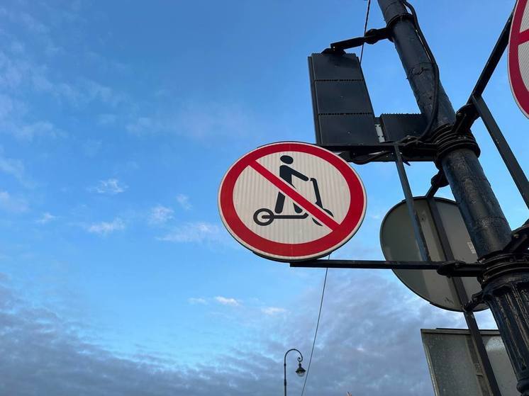 «Союз пешеходов» предложил электросамокатчикам сдавать на права
