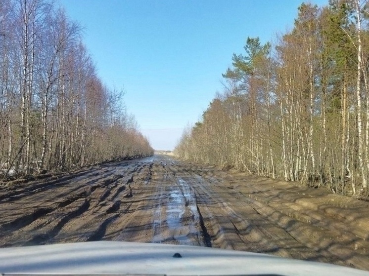 Глава Северодвинска рассказал о судьбе проблемного участка дороги в сторону СНТ «Уйма»