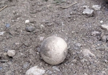 В Симферопольском районе обнаружили боеприпасы, оставшиеся после сбития ракет ATACMS утром 30 апреля. 