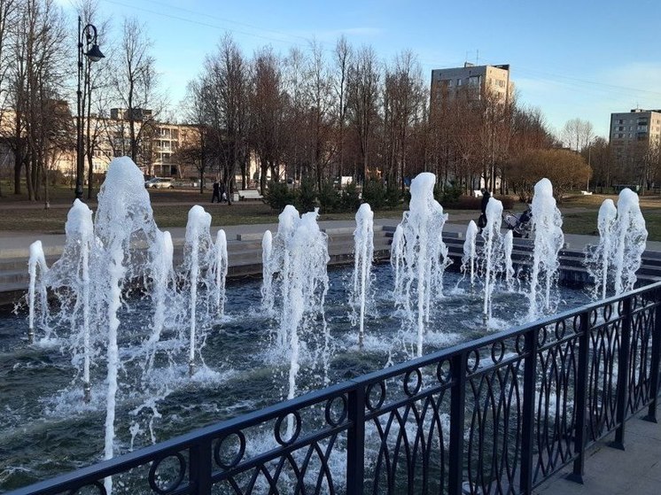 Смольный потратит 700 млн рублей на содержание фонтанов и общественных туалетов