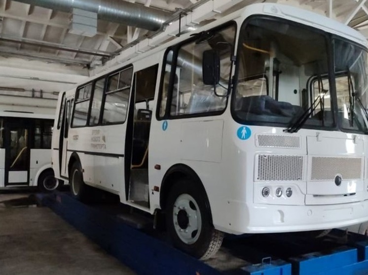 299 новых автобусов выйдут на маршруты в Свердловской области