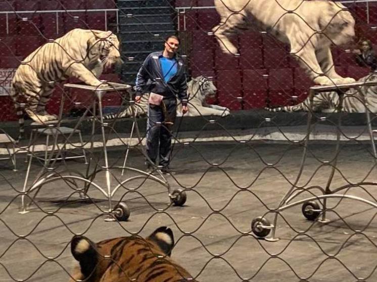 Цирк братьев Запашных даст дополнительные представления в Луганске