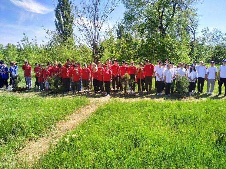 Скадовские школьники провели акцию «Сад памяти»