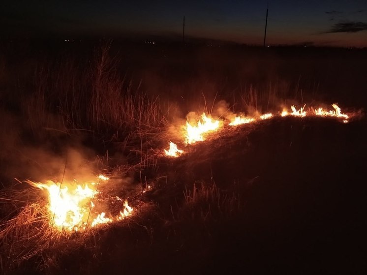 На Сахалине пожарные 4 раза за сутки тушили возгорание травы и мусора