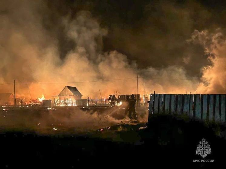 МЧС: масштабный пожар в Бурятии полностью потушен