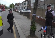 Стали известны подробности шокирующего преступления в Лондоне - мужчина с мечом напал на людей и полицейских в пригороде, убив 13-летнего мальчика и ранив еще четверых