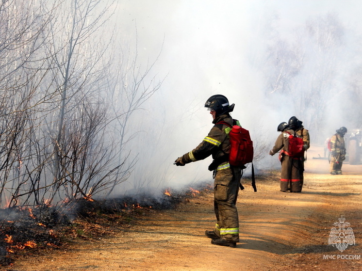 Спасатели за сутки тушили 53 пала сухой травы в Хабаровском крае