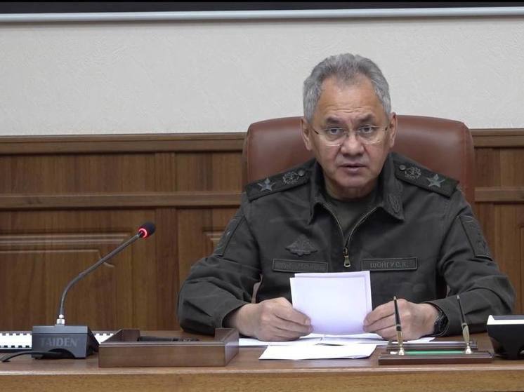 Министр обороны проинспектировал Объединенную группировку войск