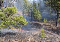 Два лесных пожара обнаружено сегодня в Тарбагатайском и Баунтовском районах Бурятии