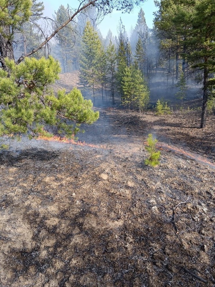 Десять лесных пожаров обнаружено в Бурятии