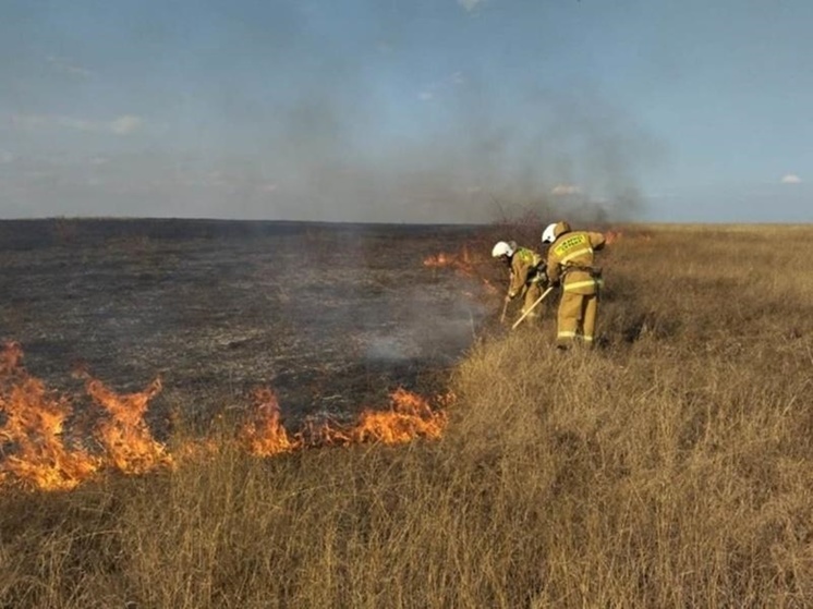 В Ростовской области 1 мая ожидается чрезывачайная пожароопасность