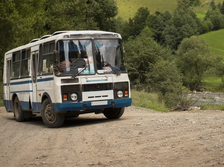 В Воронеже на 6 автобусах ввели покилометровую оплату проезда