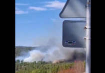 Лесной пожар 1 мая не затронул станцию Земляничную в Читинском районе, но в дачном кооперативе «Разведчик Недр» сгорели садовые домики