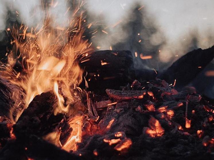 Причина пожара в СНТ «Кирпичник» близ Улан-Удэ - летающий мусор?