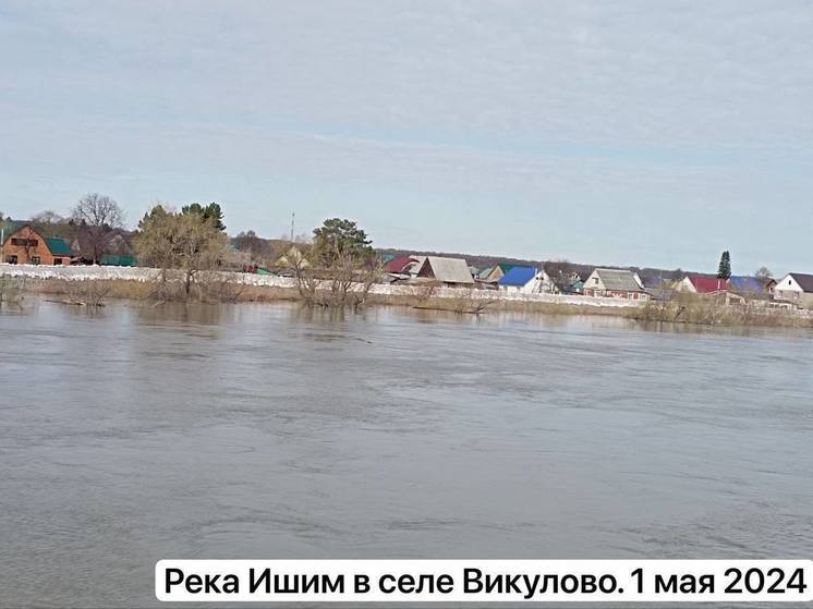 Паводок в Тюменской области смещается к селу Викулово