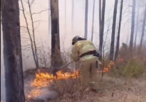 Из-за перехода огня с территории СНТ в Читинском районе 1 мая загорелись три гектара леса