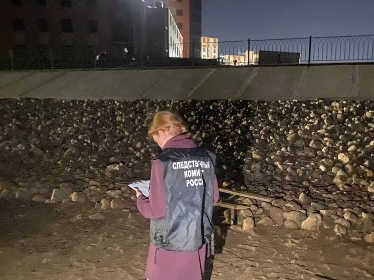 В Рыбинске двое отморозков забили прохожего на набережной