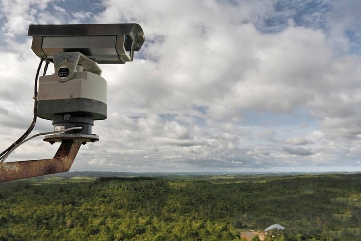 В Костромской области за порядком в лесу будут следить камеры