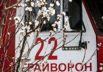 В День пожарной охраны белгородцам рассказали о героях нашего времени
