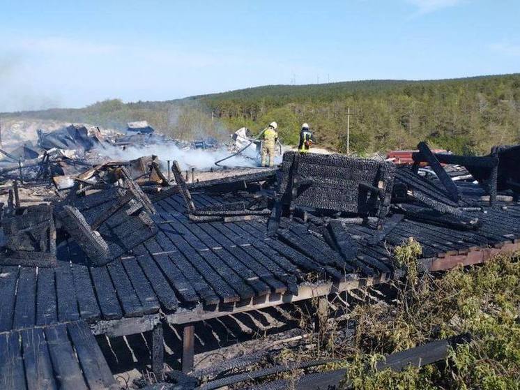 Космонавт из Новосибирска Анна Кикина полетит на МКС в году