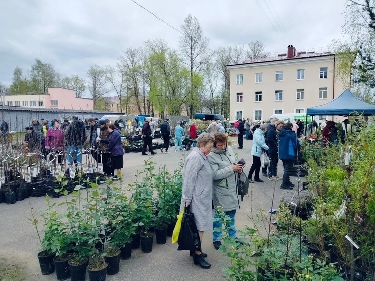 От пирожков до варежек и шапок: в Бокситогорске весенняя ярмарка