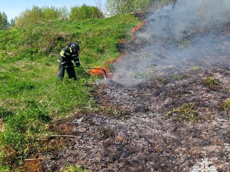 На Смоленщине продолжаются палы травы