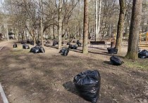 С конца марта по май в Петербурге были закрыты на просушку более сотни парков. В их числе Таврический и Румянцевский сады, Казанский сквер, сад Сан-Галли.