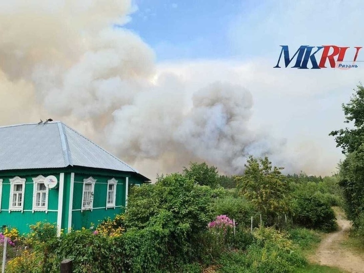 Рязанская область заняла второе место в ЦФО по числу лесных пожаров в 2024 году