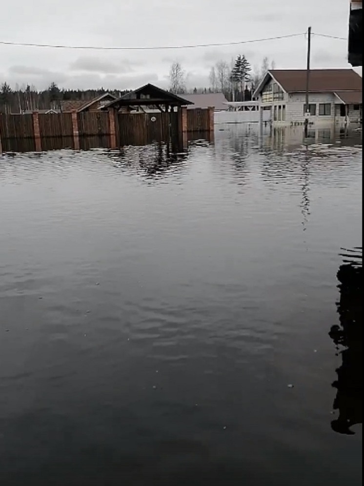 Дачи в Пряжинском районе погружаются в воду