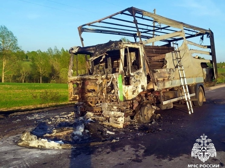 Подробности пожара на дороге в Ярцевском районе