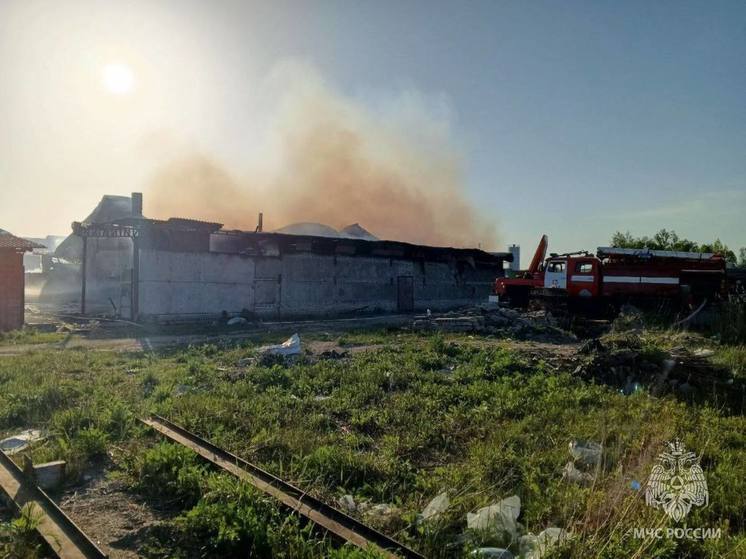 В Гусеве загорелся склад для спрессованного картона