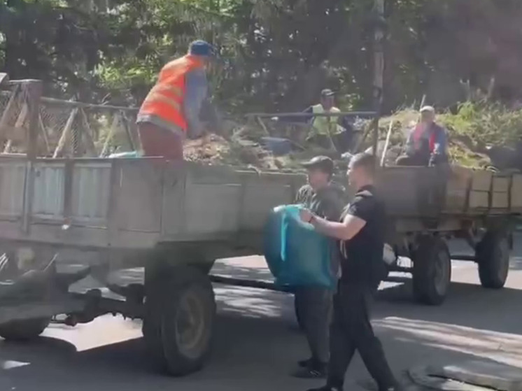 Экологическая акция "Зеленая Весна" прошла в Херсонской области