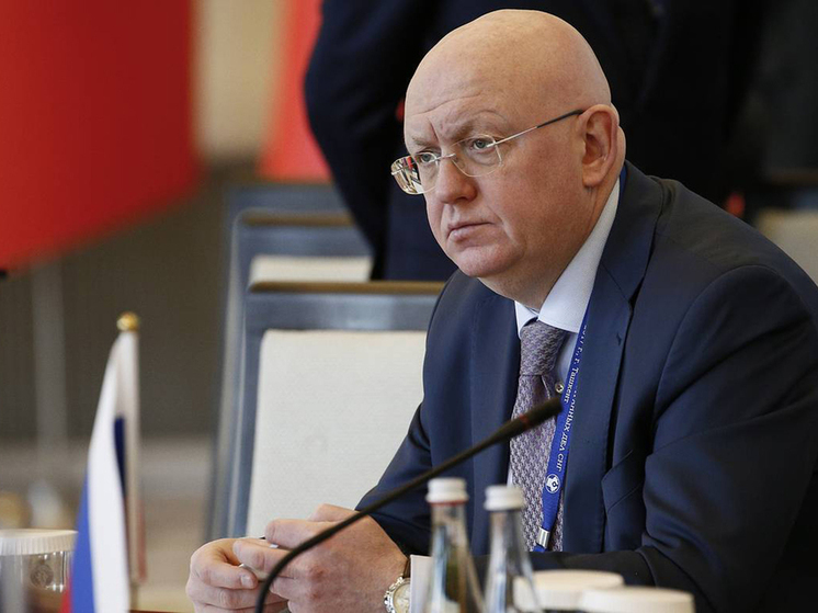 Постпред РФ: необходимо провести расследование из-за массовых захоронений в секторе Газа