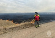 В Оловяннинском районе возле села Хада-Булак произошел ландшафтный пожар площадью 1,8 тысяч гектаров