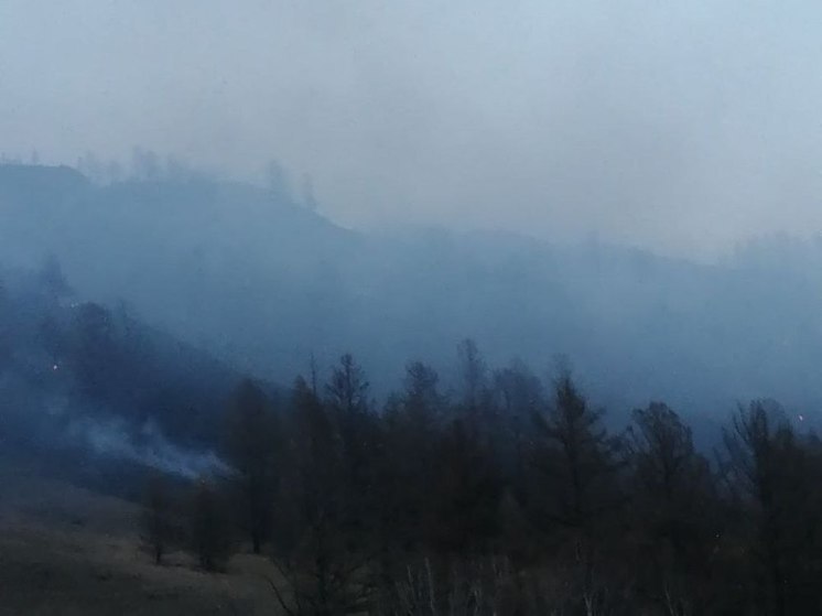 В Бурятии обнаружили четыре лесных пожара