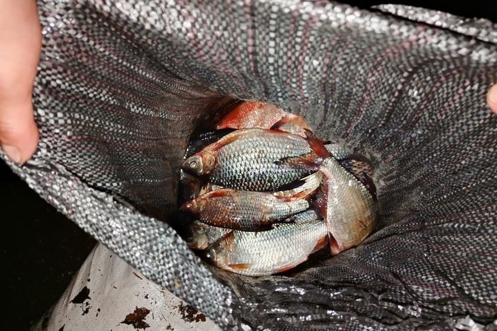 На костромской трассе задержали браконьера с двумя мешками рыбы