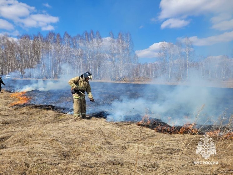 В Красноярском крае во время майских праздников произошло 84 возгорания сухой травы
