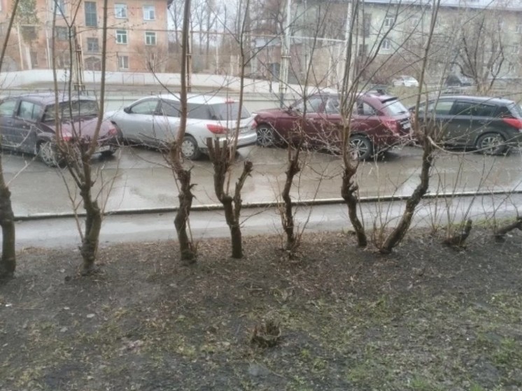 В Новосибирске 2 мая 2024 года выпал мокрый снег