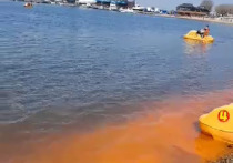 В прибрежной полосе Владивостока появилось оранжевое цветение микроводорослей
