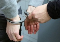 Сотрудники правоохранительных органов задержали участников подпольного интим-салона в Санкт-Петербурге