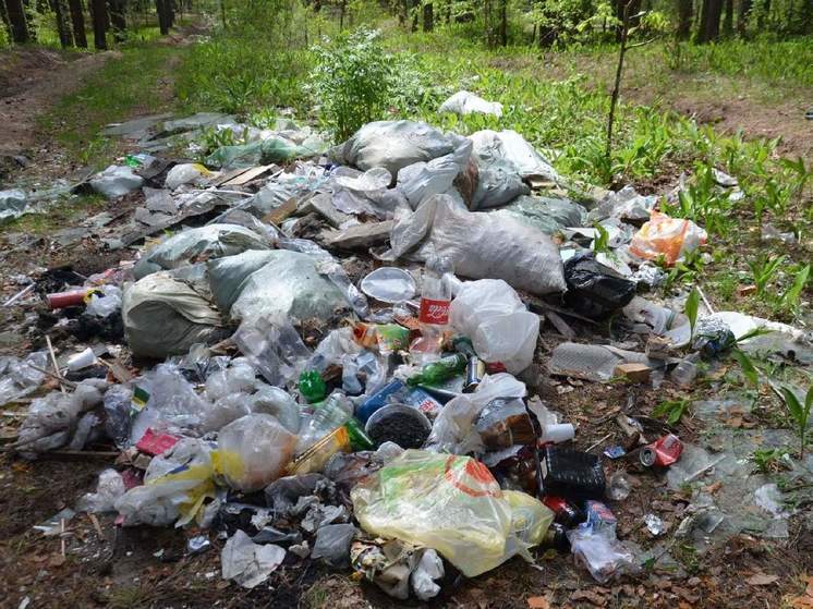 1293 тонны отходов поступило на мусоросортировочный комплекс в Марий Эл в марте