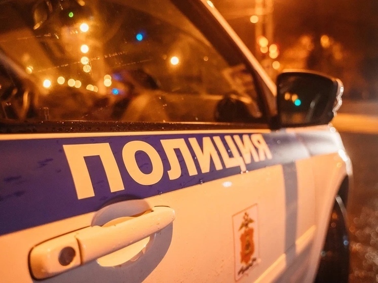 На мужчину с ружьем из Тверской области завели уголовное дело